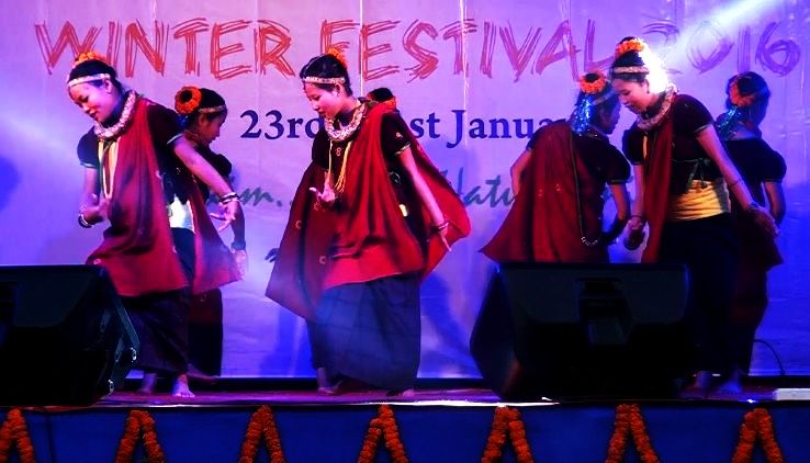 Red Panda Winter Festival in Gangtok