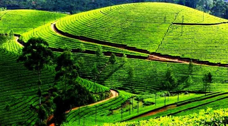 Munnar