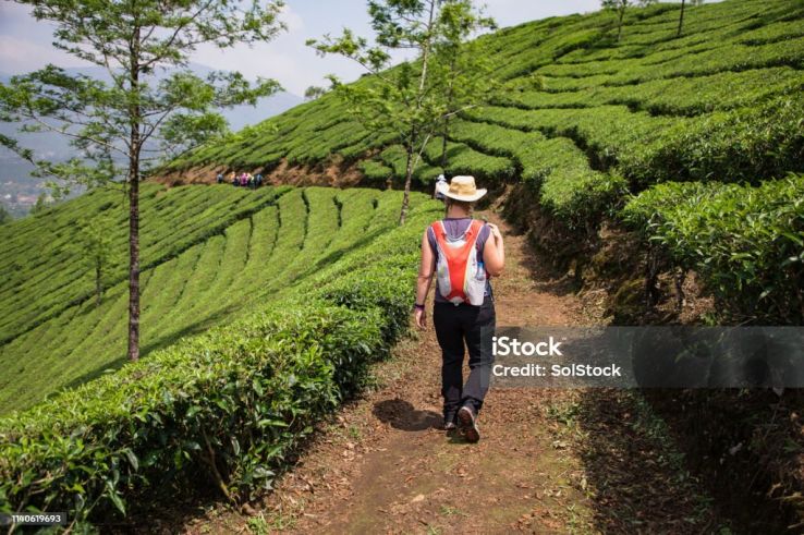 Munnar