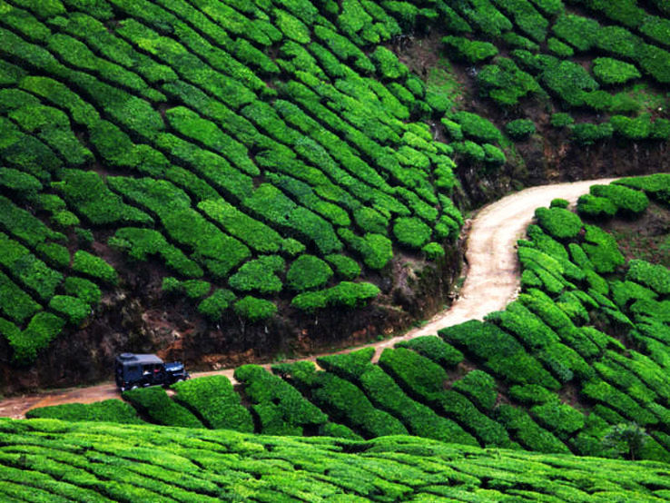 11- Munnar