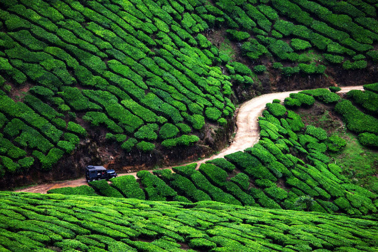 Kerala Most Charming Hill Destinations