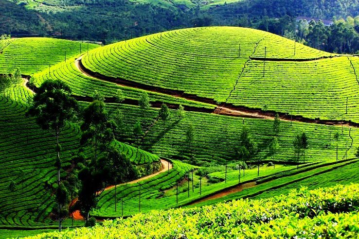 Munnar