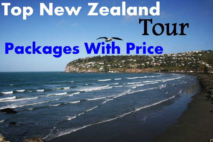 singapore to new zealand tour package