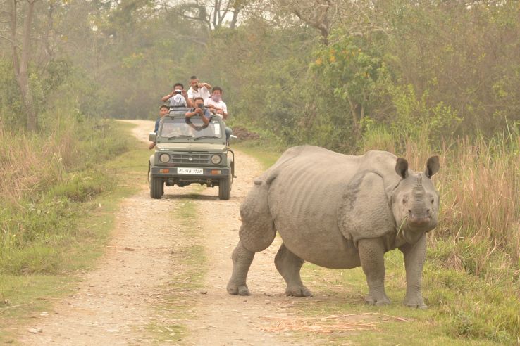 Kaziranga National Park, Assam