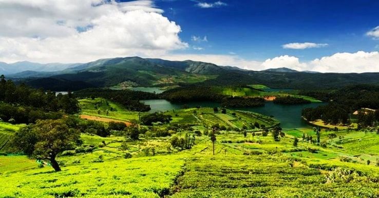 Move To Ooty To Take A Break This Summer