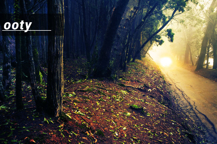 Ooty