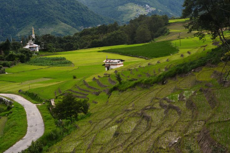 Ziro Valley, Arunachal Pradesh