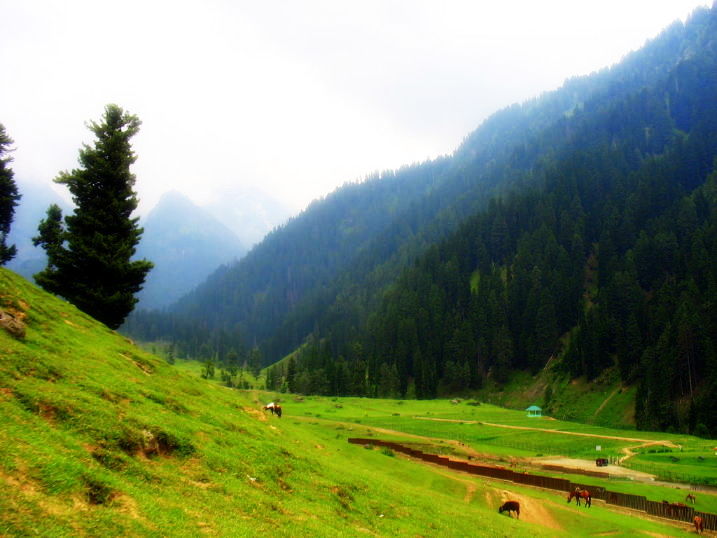 Pahalgam - Jammu and Kashmir