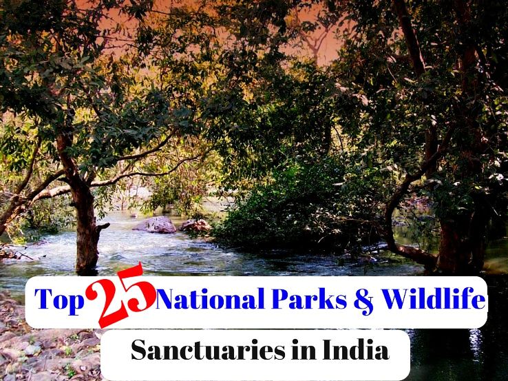 Top 25 National Parks & Wildlife Sanctuaries in India
