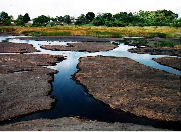 La Brea Pitch Lake: Trinidad & Tobago
