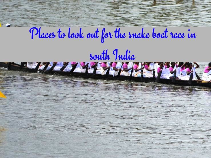 Places to look out for the snake boat race in South India