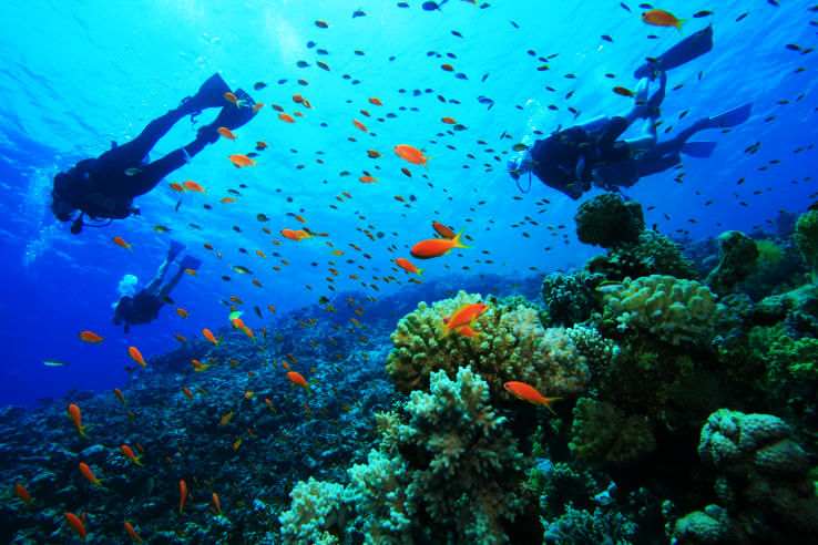 Places To Enjoy Scuba Diving In India