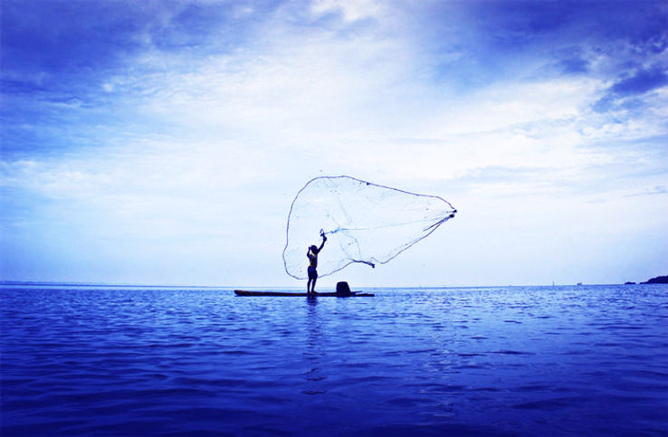 Pulicat