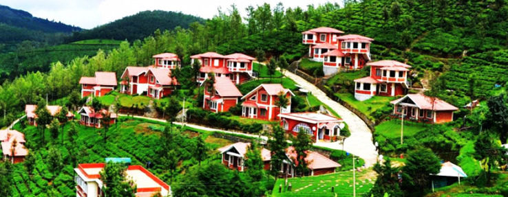 - Kodaikanal and Ooty