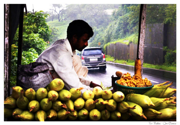 Buying Roadside Items