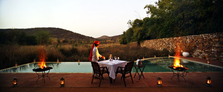 4 - Ranthambore
