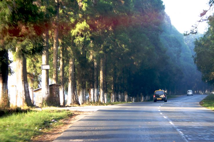 Shillong