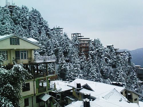 Shimla