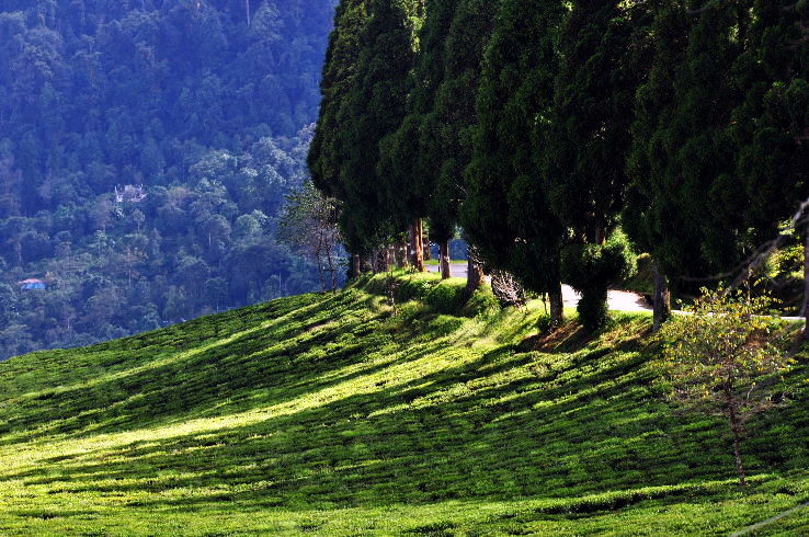 10 Popular Short Treks in Sikkim