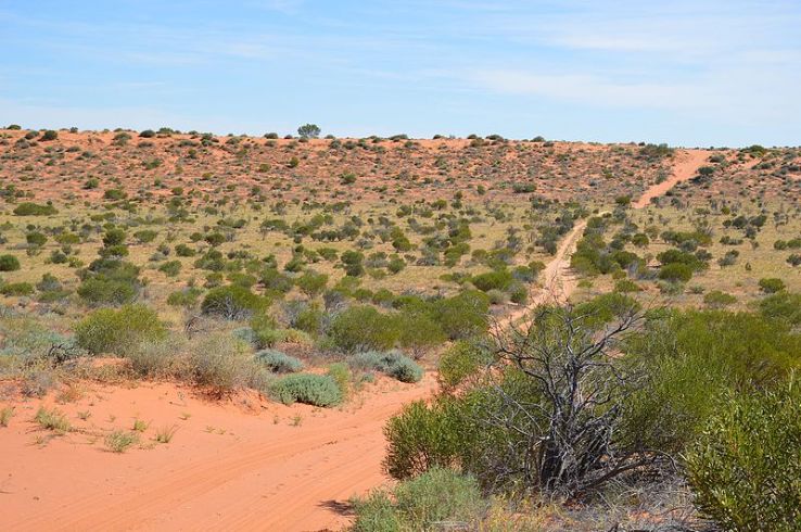 The Simpson Desert