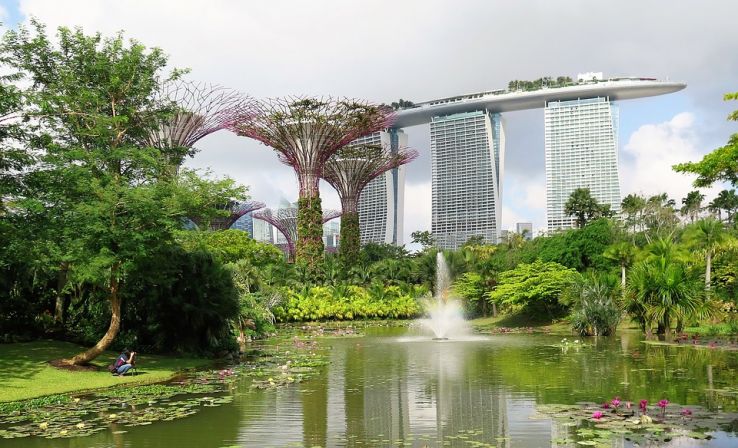 Amazing Supertrees
