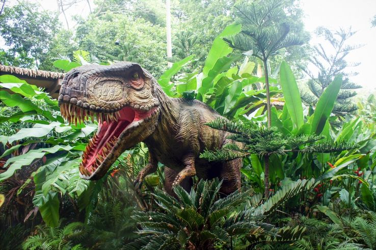 Night Safari & Singapore Zoo