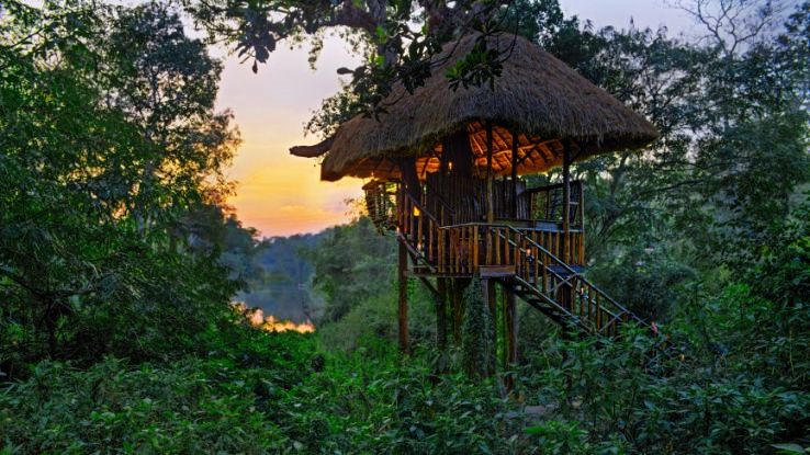 Take A Spice Plantation Walk In Coonoor