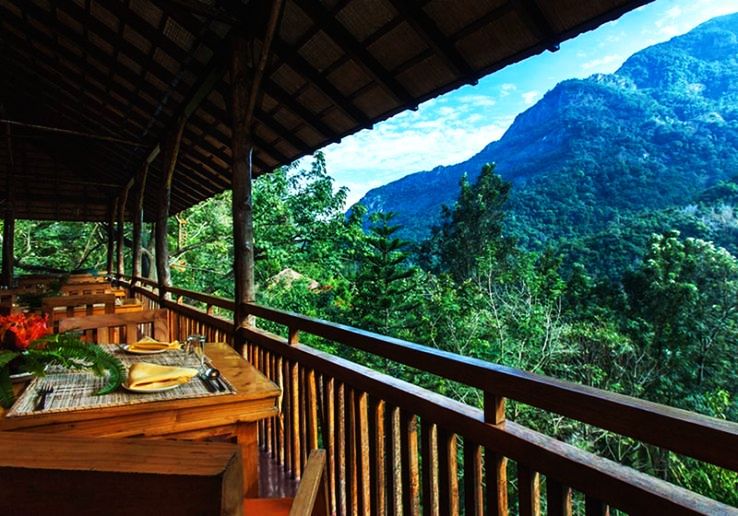 Stay Amidst Nilgiri Biosphere Reserve