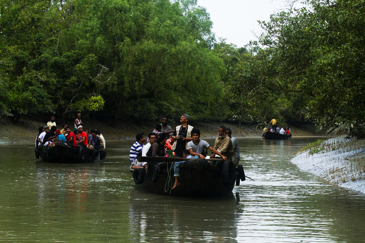 Sundarbans