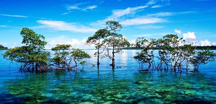 Free From Restrictions 29 Islands In Andaman And Nicobar