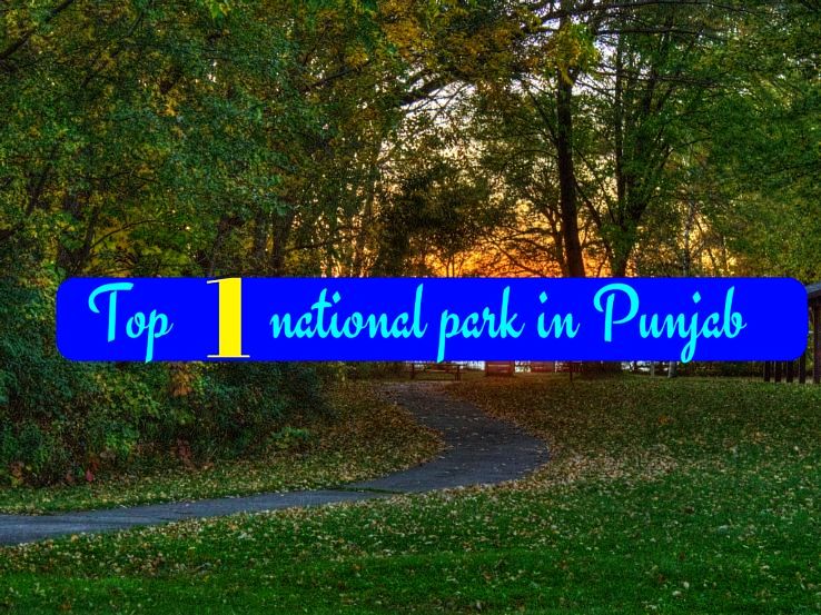 Top 1 national park in Punjab