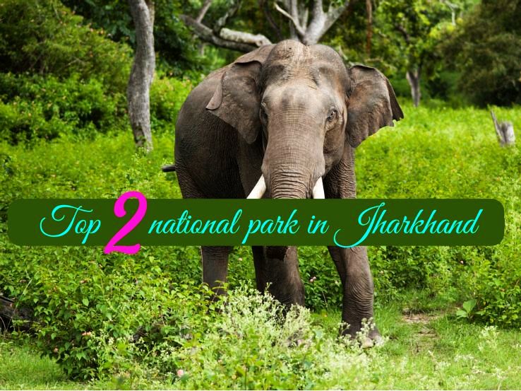 Top 2 national park in Jharkhand