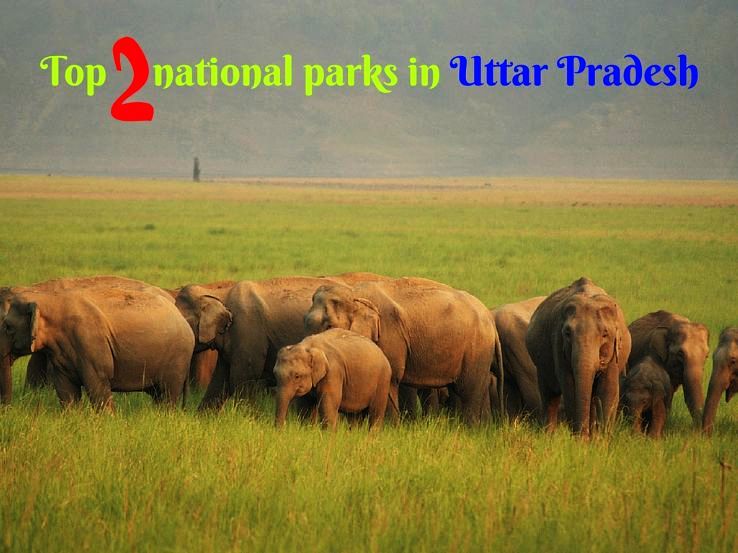 Top 2 national parks in Uttar Pradesh