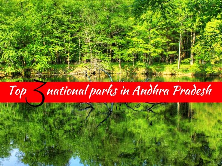Top 3 national parks in Andhra Pradesh