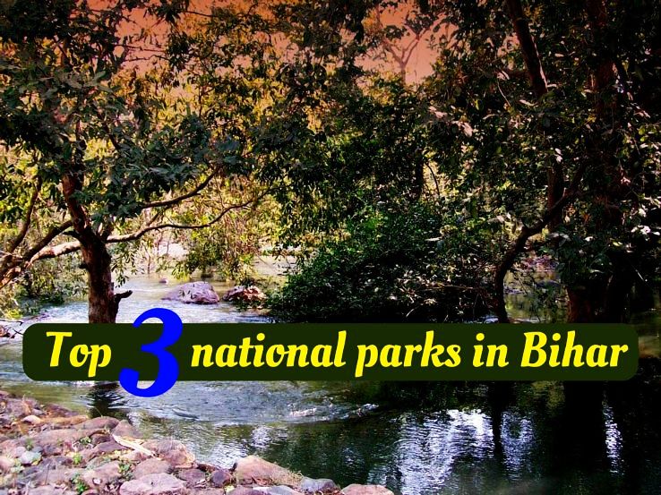 Top 3 national parks in Bihar