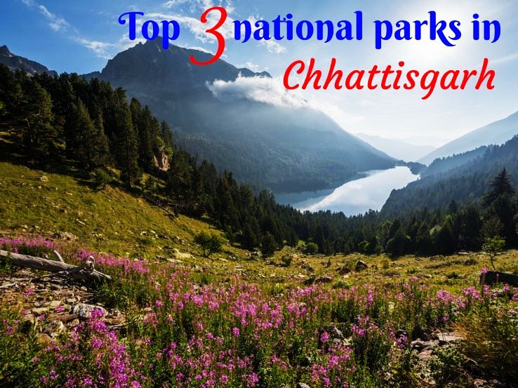 Top 3 national parks in Chhattisgarh