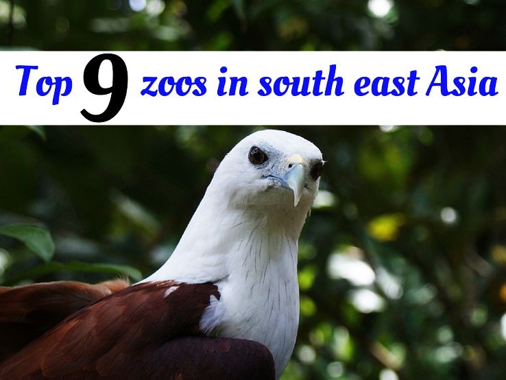 Top 9 zoos in south east Asia 