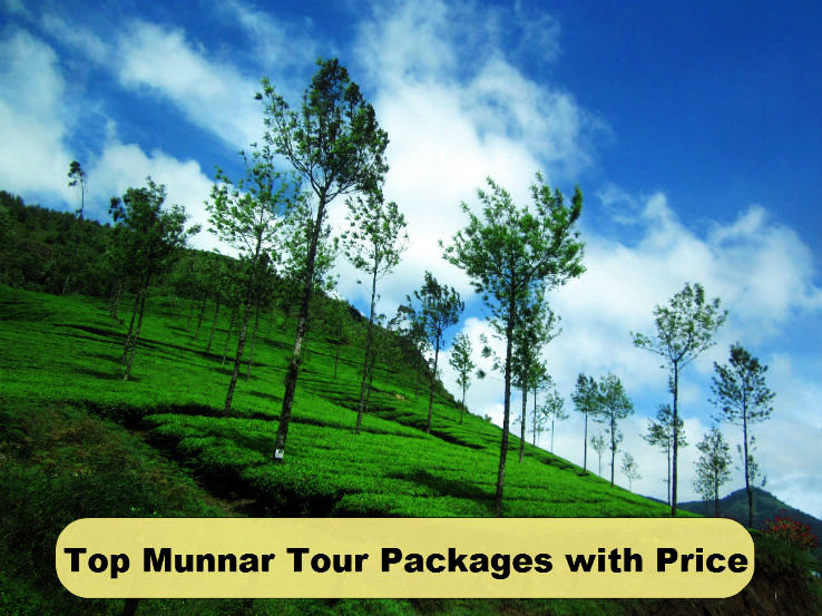 Top Munnar Tour Packages with Price