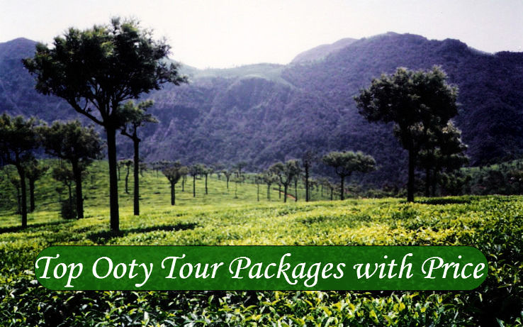 Top Ooty Tour Packages with Price