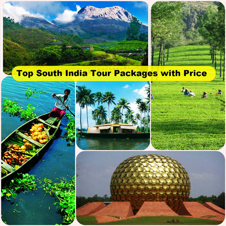 tour packages market in india