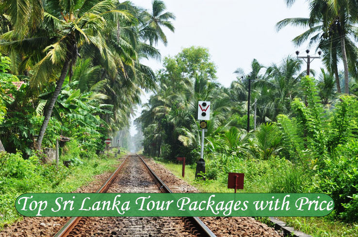Top Sri Lanka Tour Packages with Price