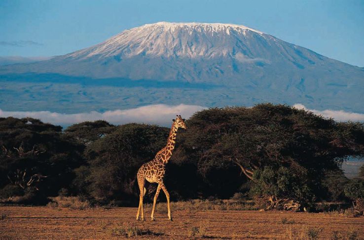 Kenya Travelogues and travel stories – Wildlife and Adventure trip