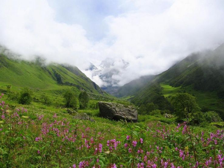 Valley of Flowers Trek