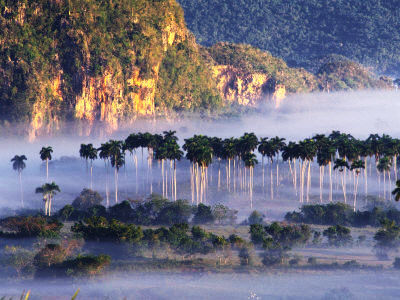 Vinales Valley: Cuba
