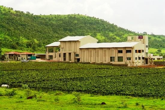 Must Visit Vineyards to Enjoy the Best Wine in India