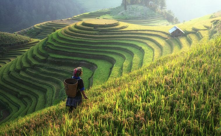 Darjeeling 2021 1 Places To Visit In West Bengal Top Things To Do Reviews Best Tourist Places To Visit For 4 7 Days Photo Gallery Hellotravel India Its natural beauty is enough to lure a tourist and keep him captivated all his or her life. places to visit in west bengal