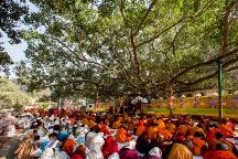 Enlightment at Bodhi Tree