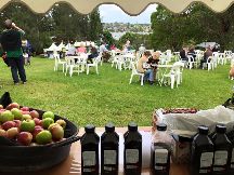 Orange Apple Festival