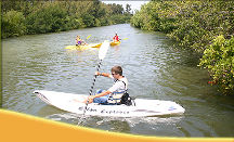 Paddle with the Manatees on a Cocoa Beach Kayaking Tour