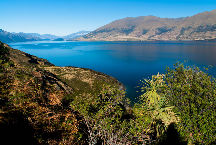 Lake Wanaka